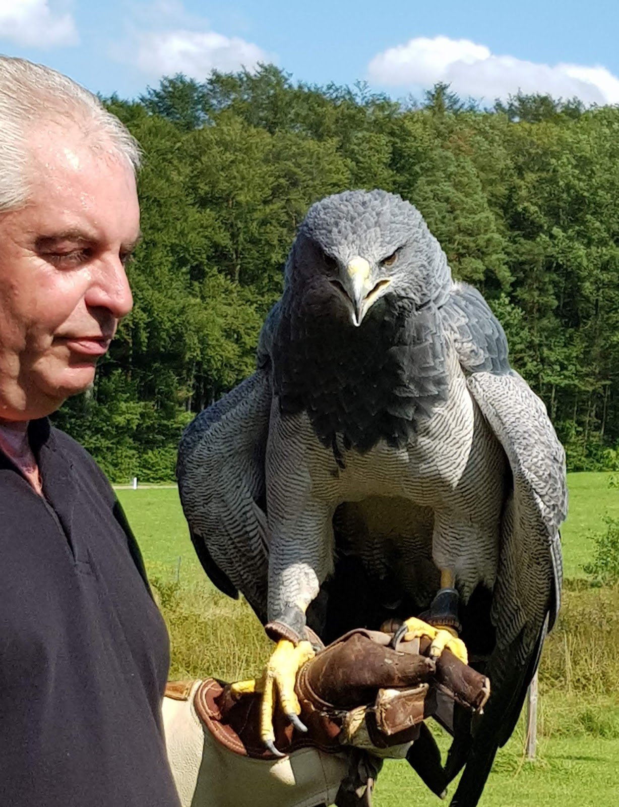 Greifvogelanlage Wüstenrot gGmbH