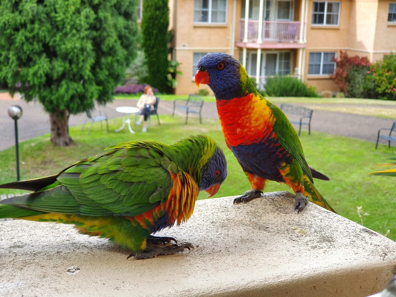 Windsor Gardens Retirement Village