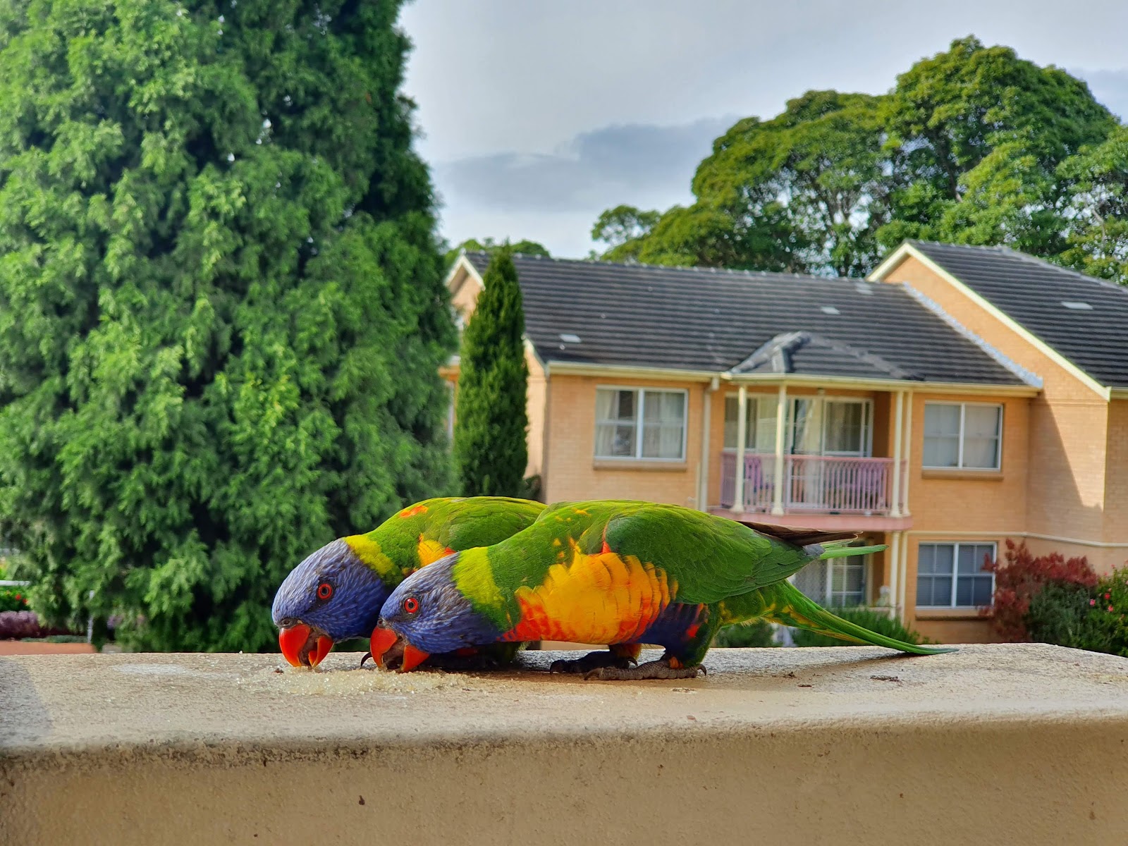 Windsor Gardens Retirement Village