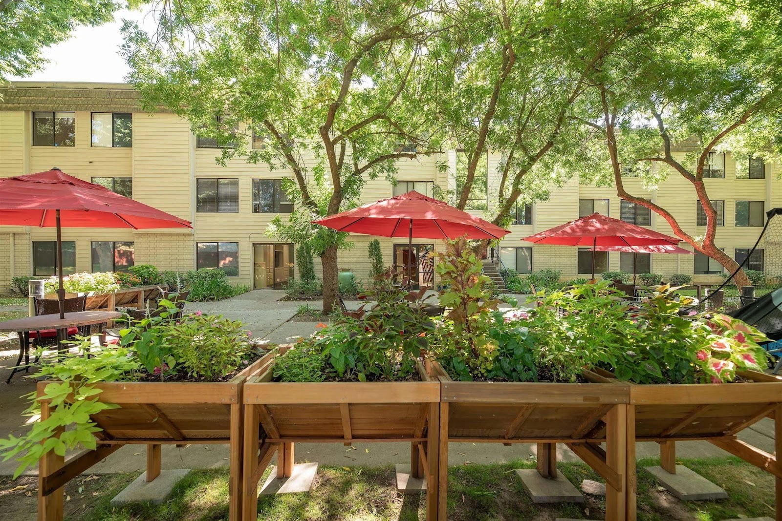 Campus Commons Senior Living