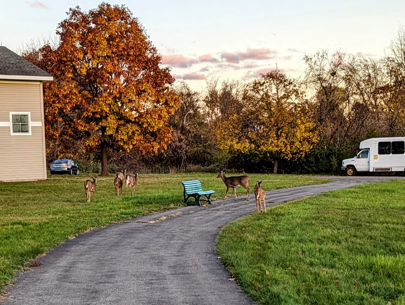 Oaks At Menorah Park Campus