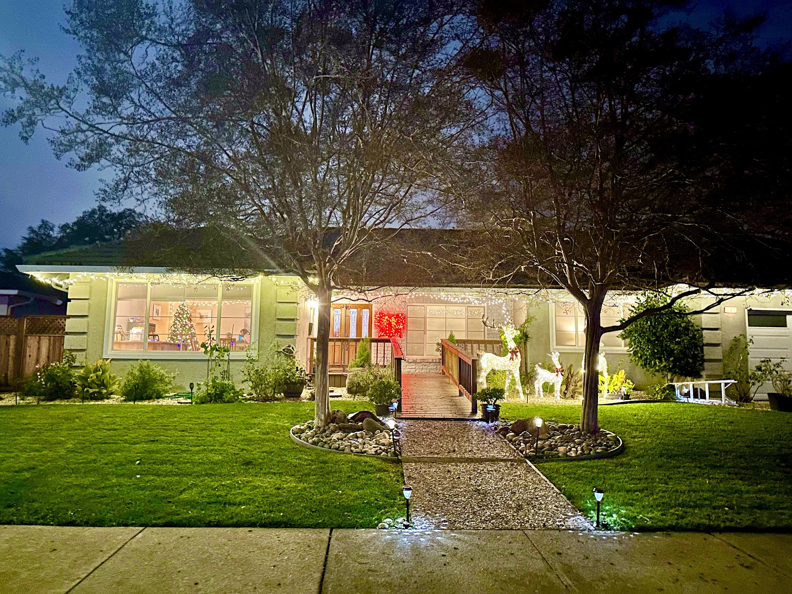 Wimbledon Walnut Creek Care Home