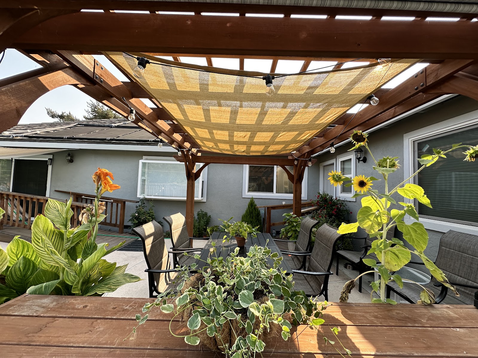 Wimbledon Walnut Creek Care Home