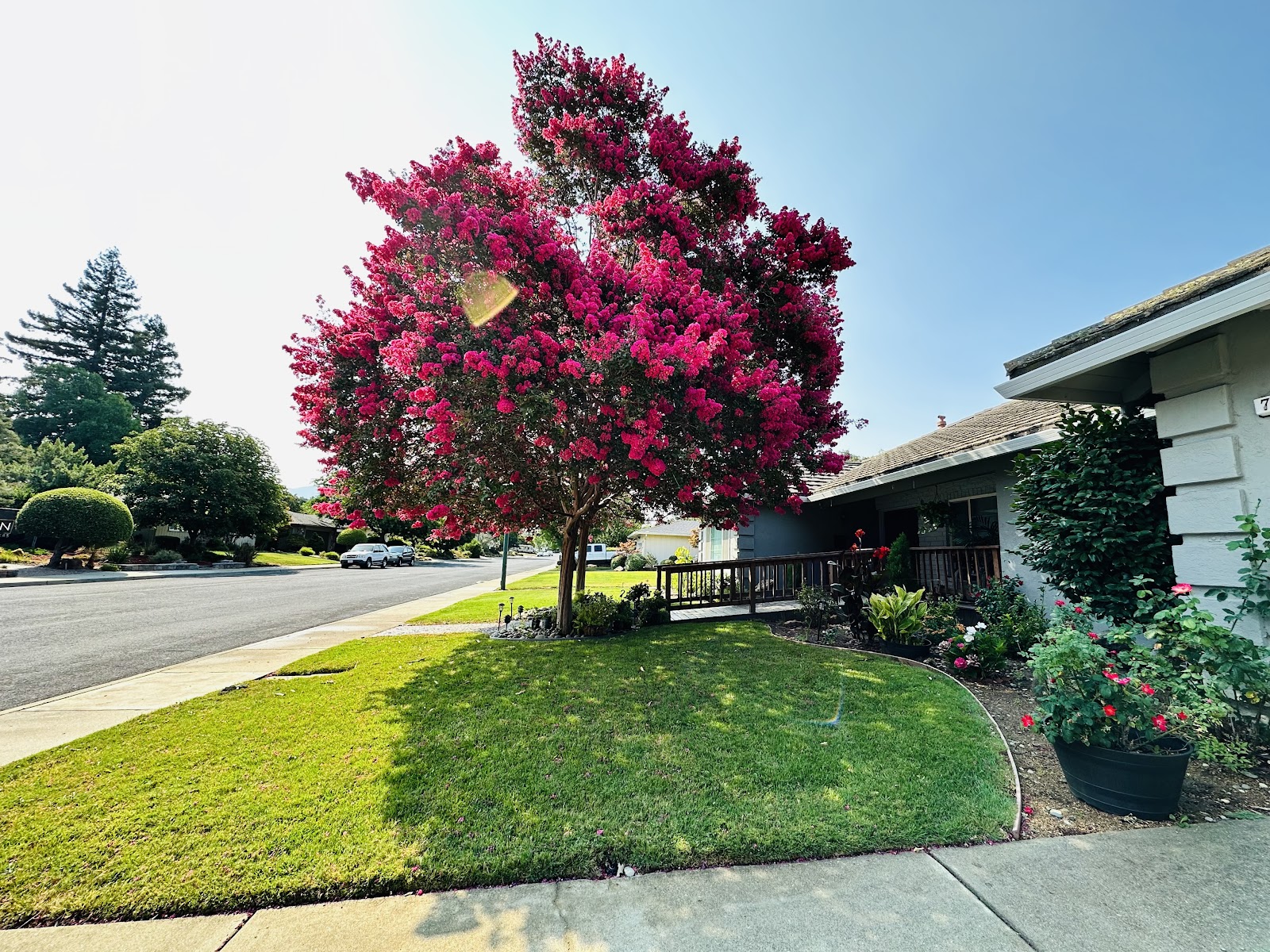 Wimbledon Walnut Creek Care Home