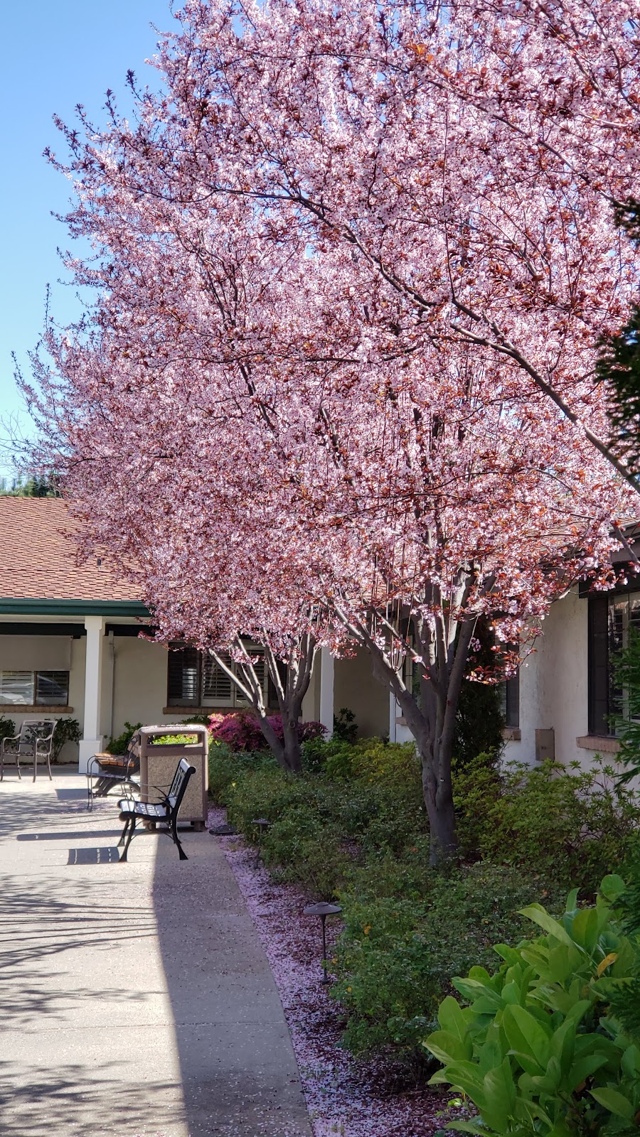 Pleasanton Nursing and Rehabilitation Center
