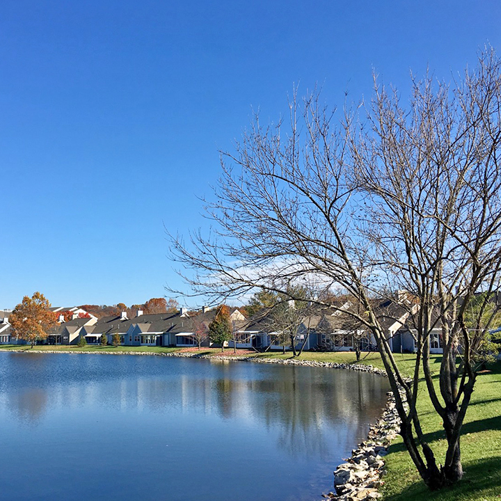 Cape Albeon Independent Living