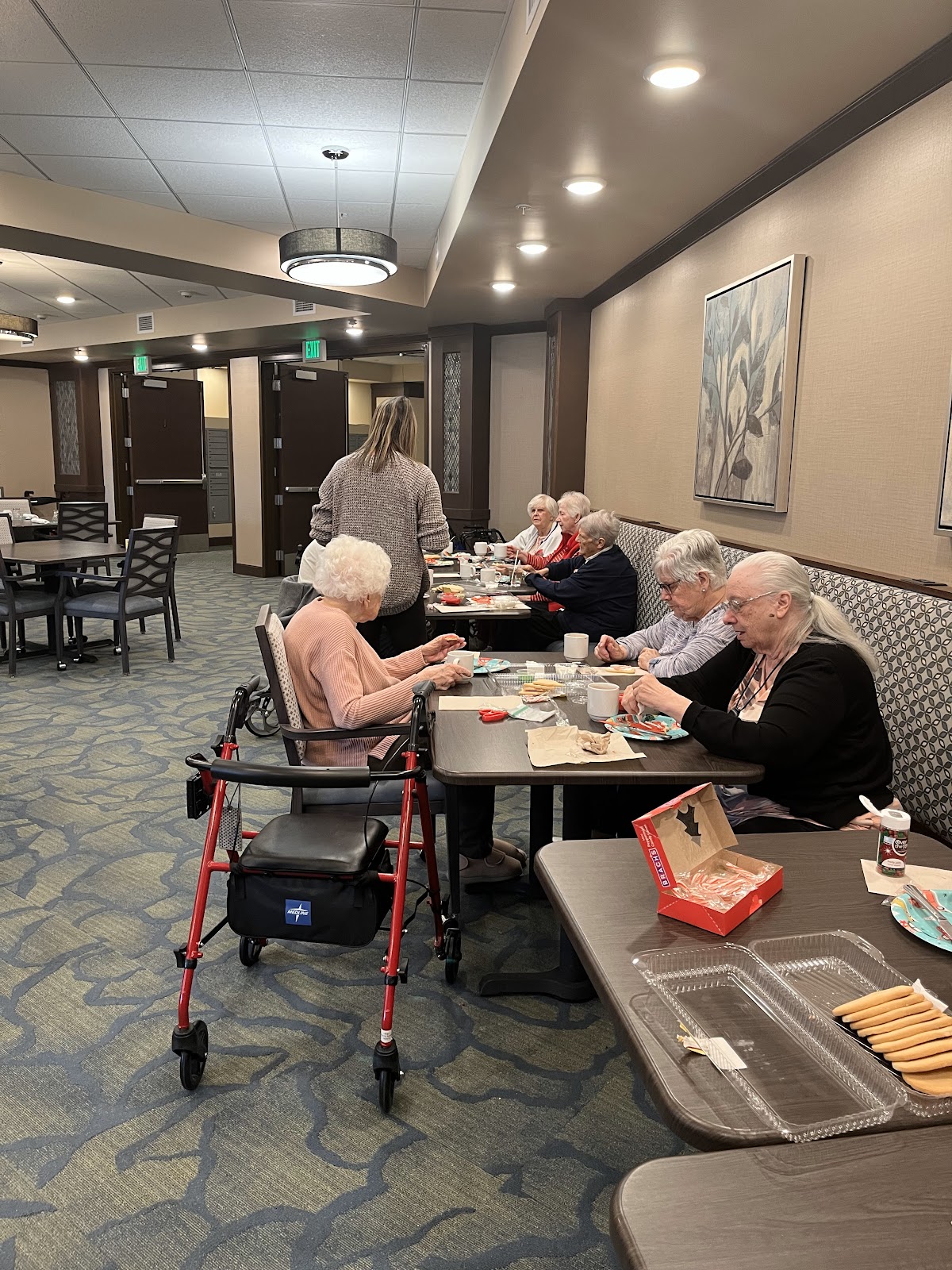 Visiting Angels Senior Home Care