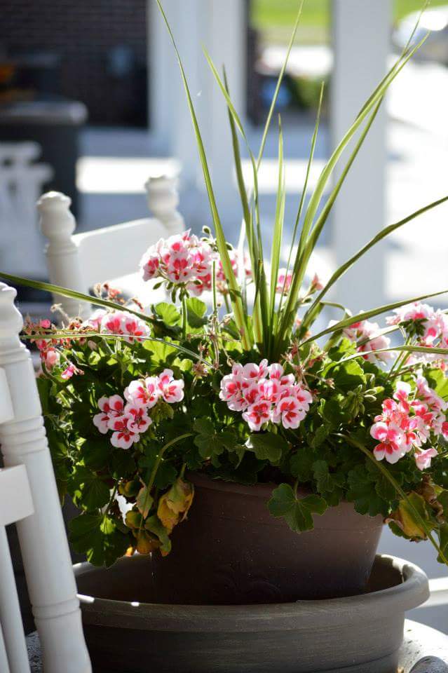 Villas of Holly Brook Assisted Living: Morton, IL