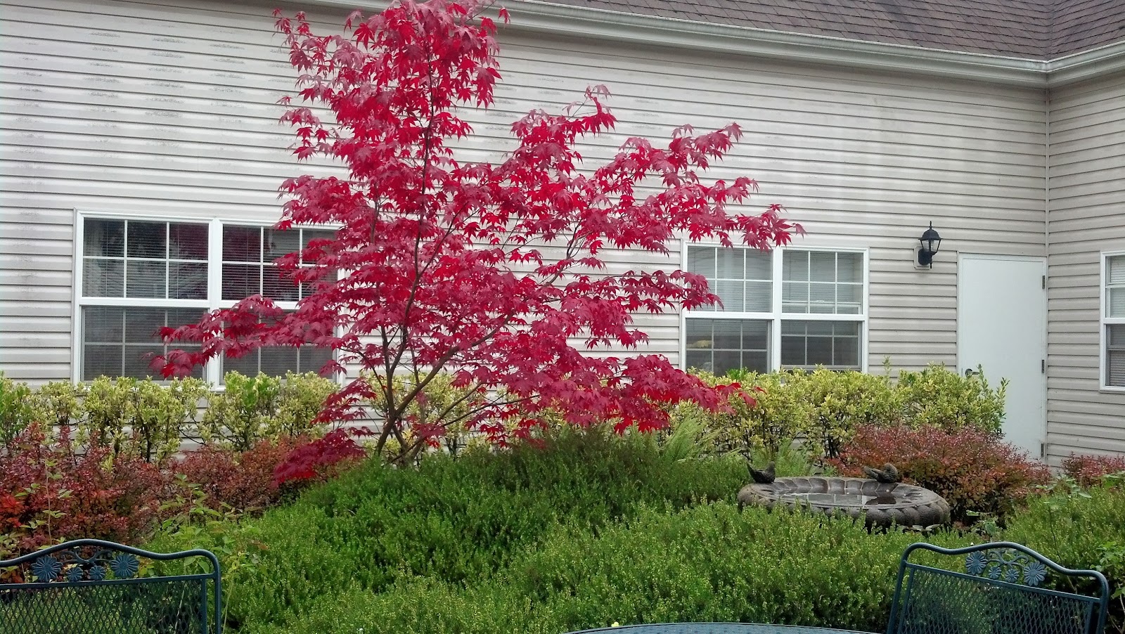 Everett Center