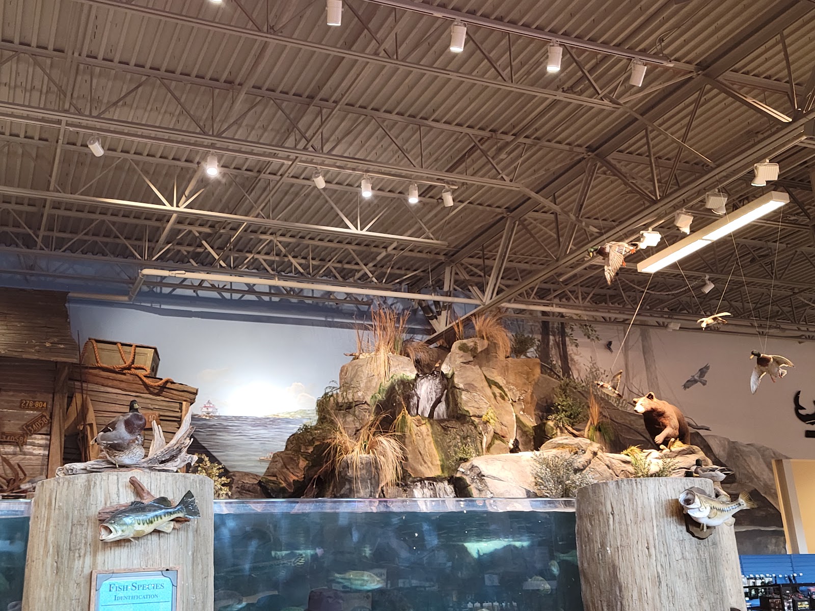 Bass Pro Shops