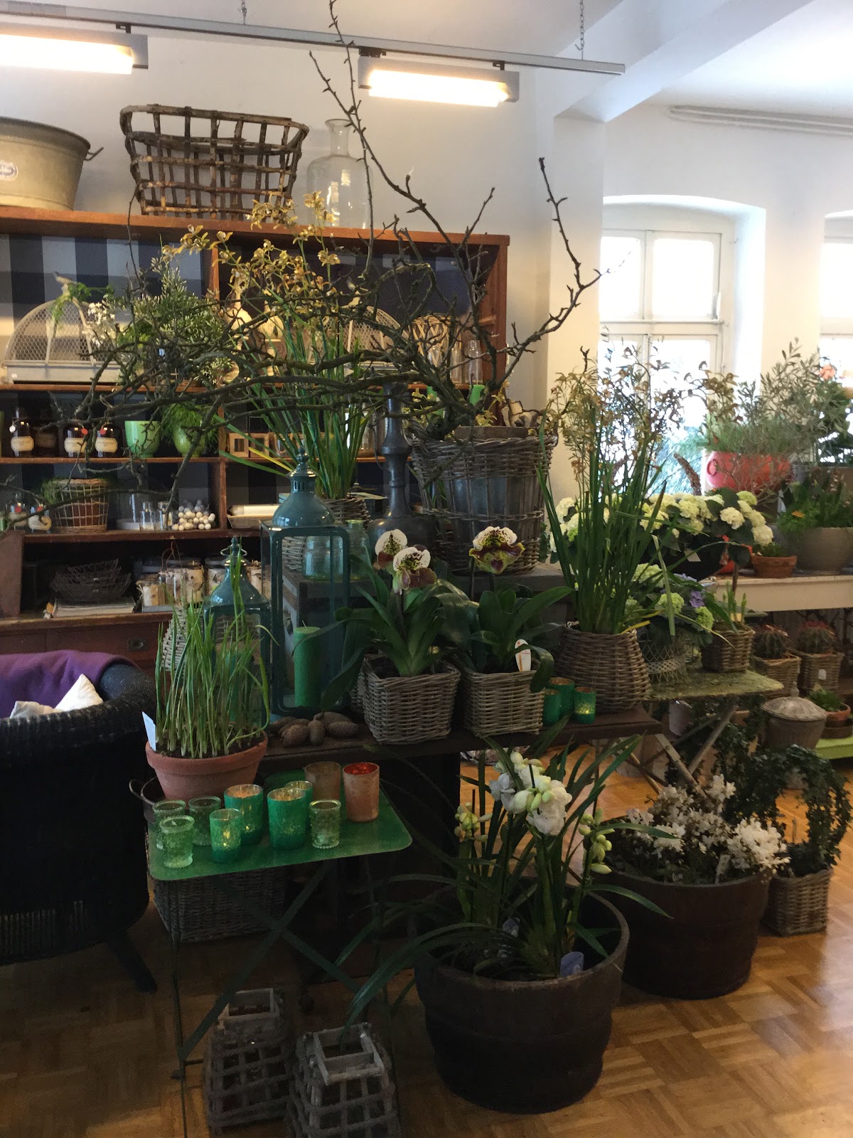 Babette Schumacher: Blumen, Garten & Wohnen