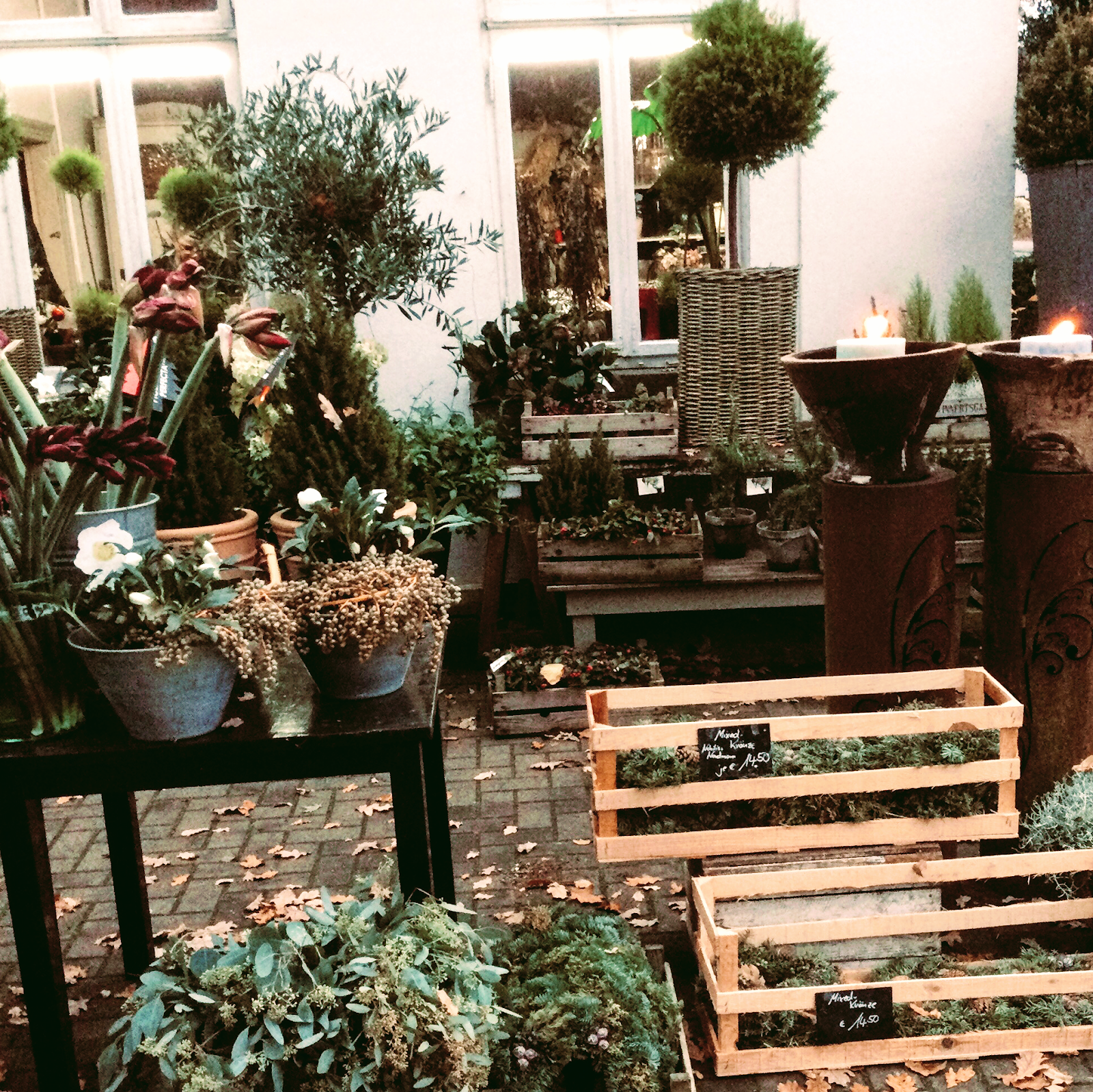 Babette Schumacher: Blumen, Garten & Wohnen