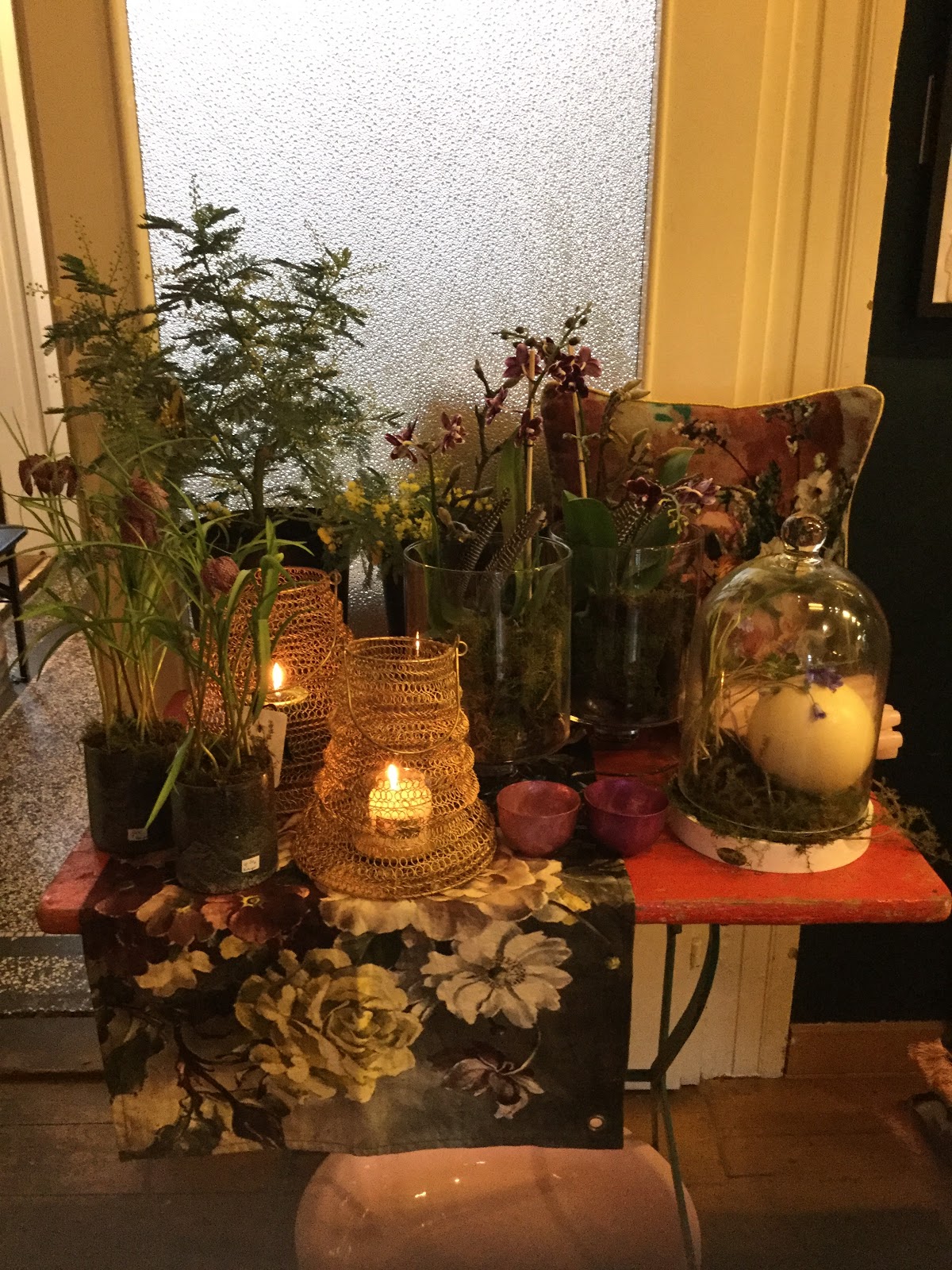 Babette Schumacher: Blumen, Garten & Wohnen