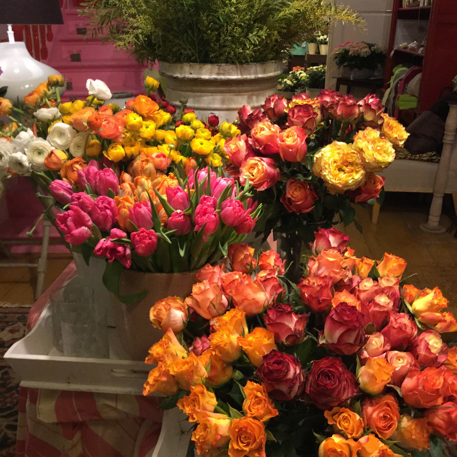 Babette Schumacher: Blumen, Garten & Wohnen