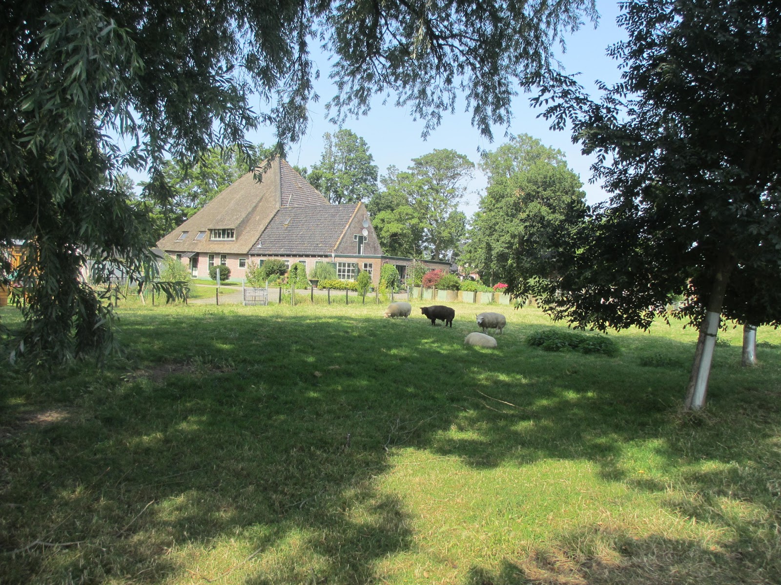 De Leeuwenhof Zorg woonzorgvoorziening