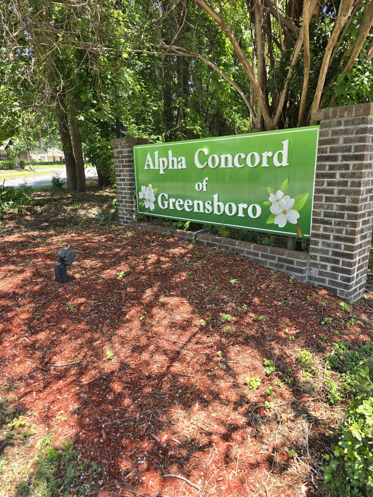 Alpha Concord of Greensboro
