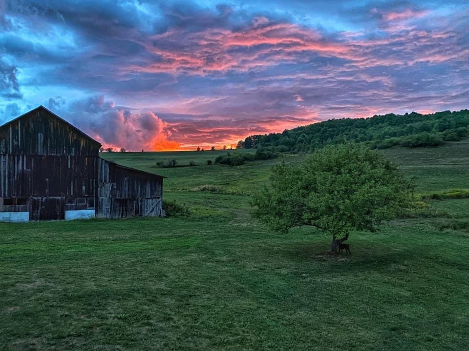 The Grove at Latrobe
