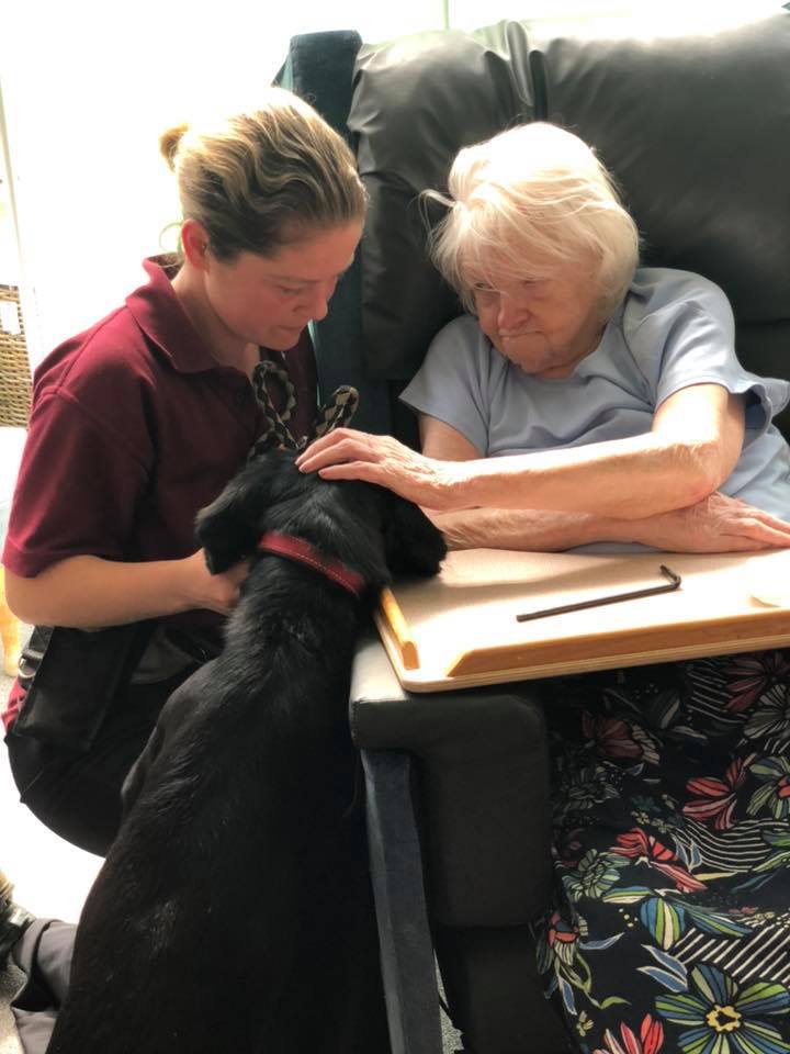 Avocet Court Care Home