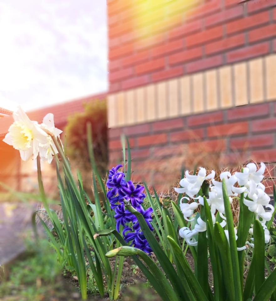Avocet Court Care Home