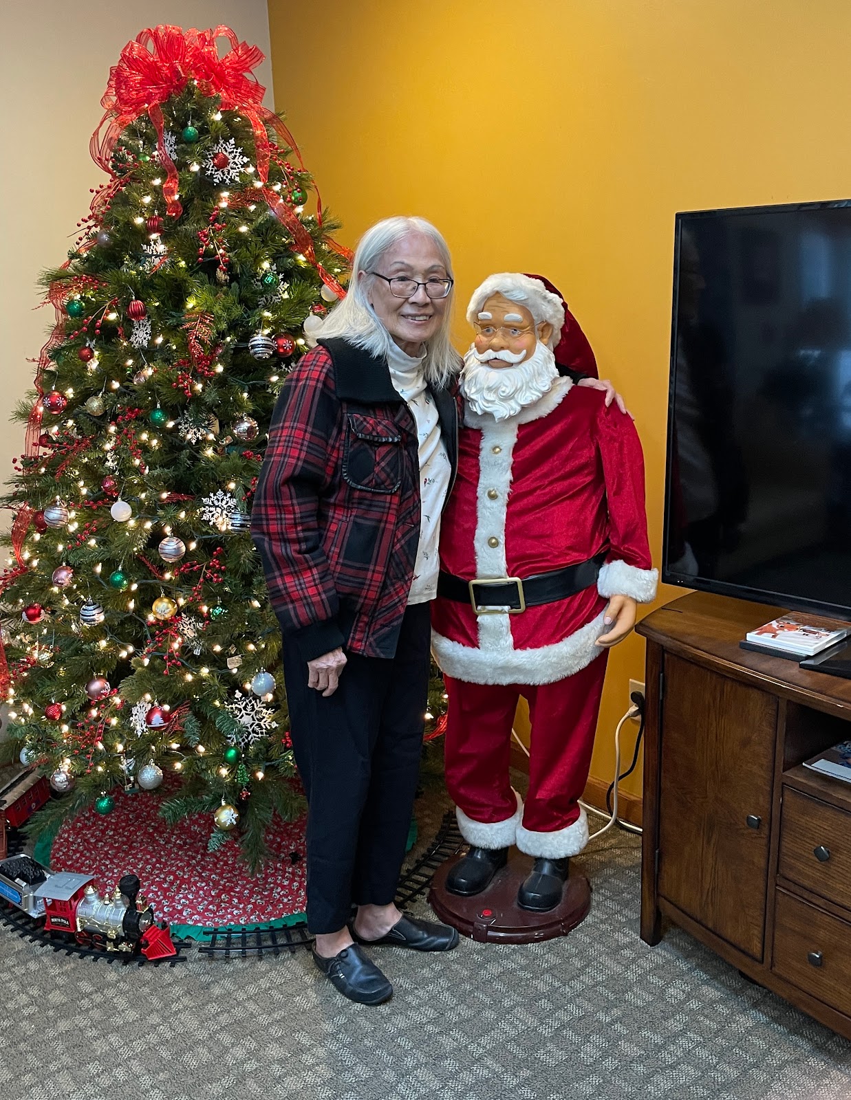 Young Home For The Elderly