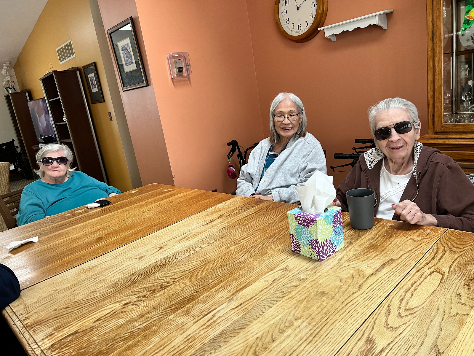 Young Home For The Elderly
