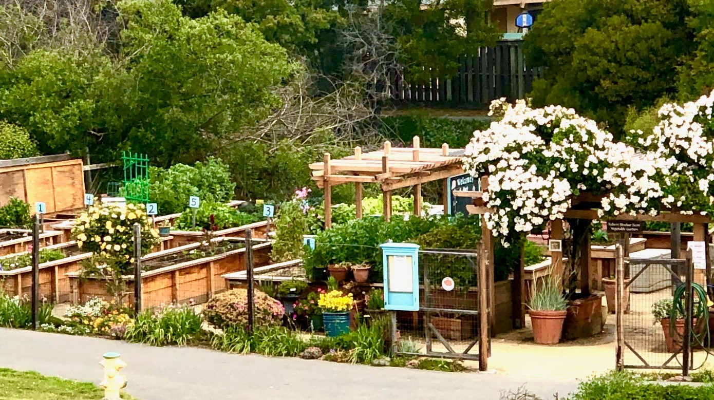 The Redwoods - Retirement, Assisted Living and Skilled Nursing