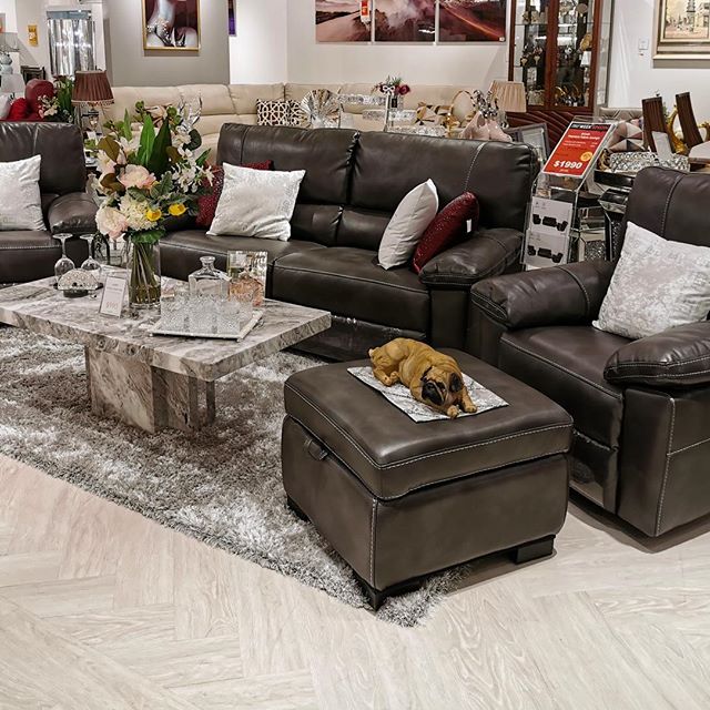 Adore Home Living Cannington