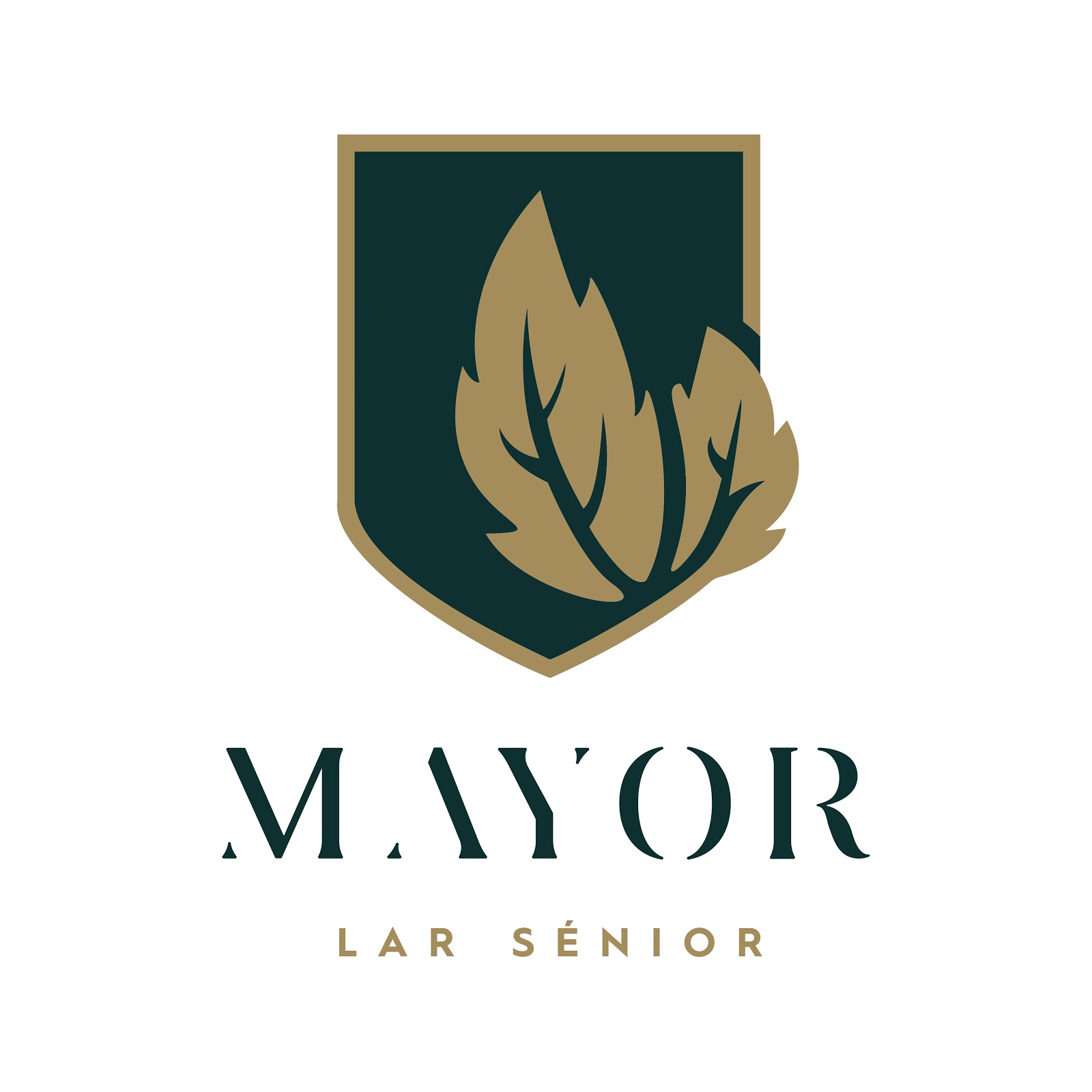 Mayor Lar Senior