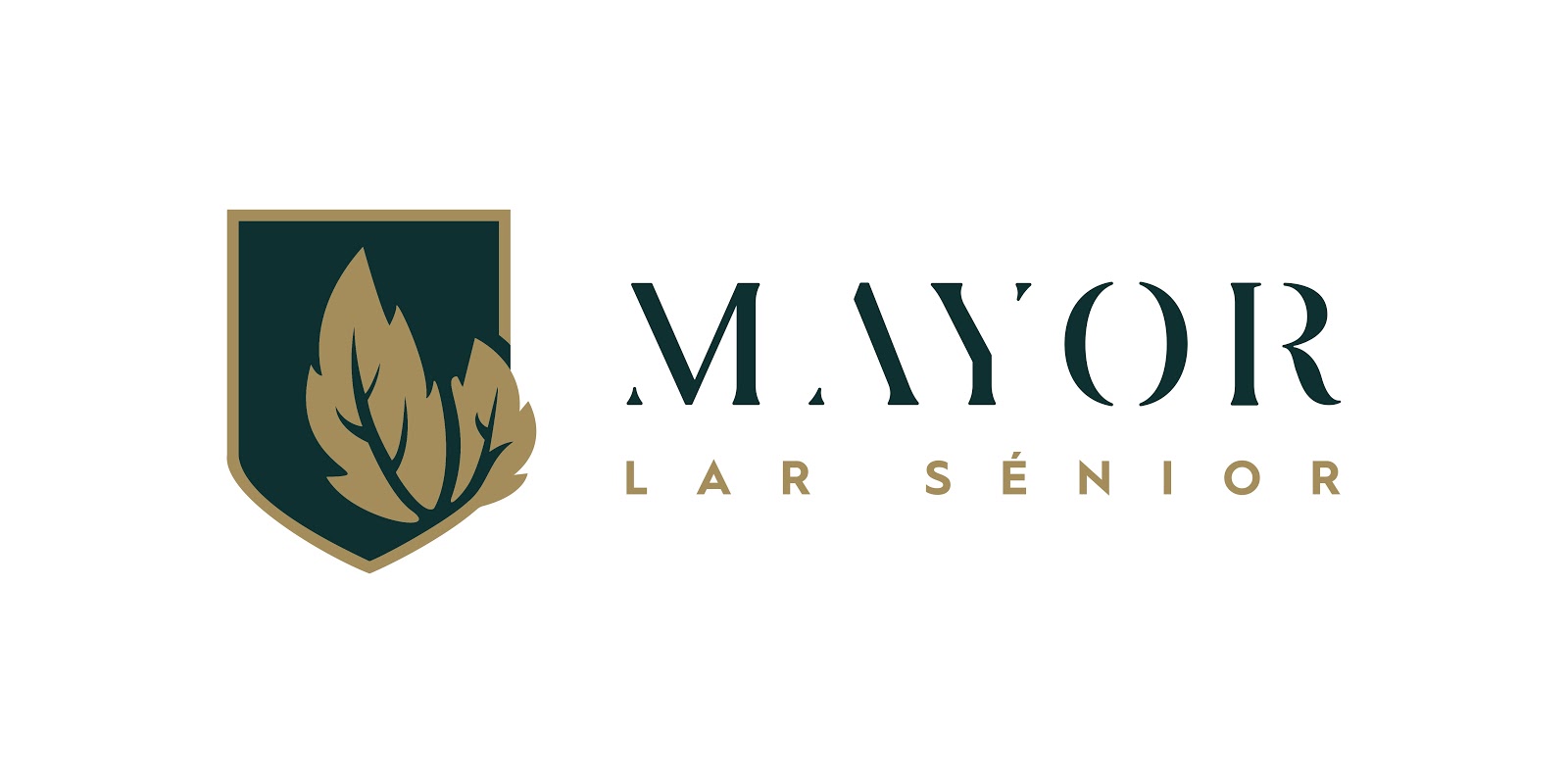 Mayor Lar Senior