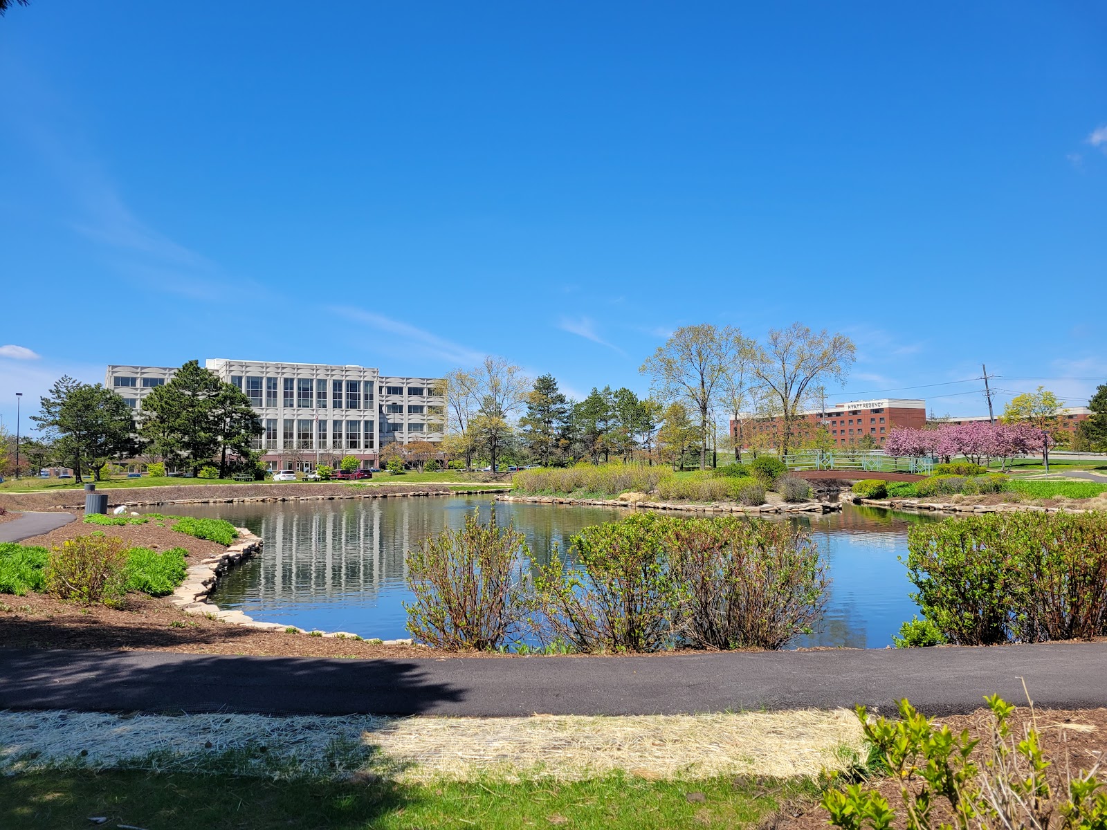 Weinberg Community for Senior Living-CJE SeniorLife