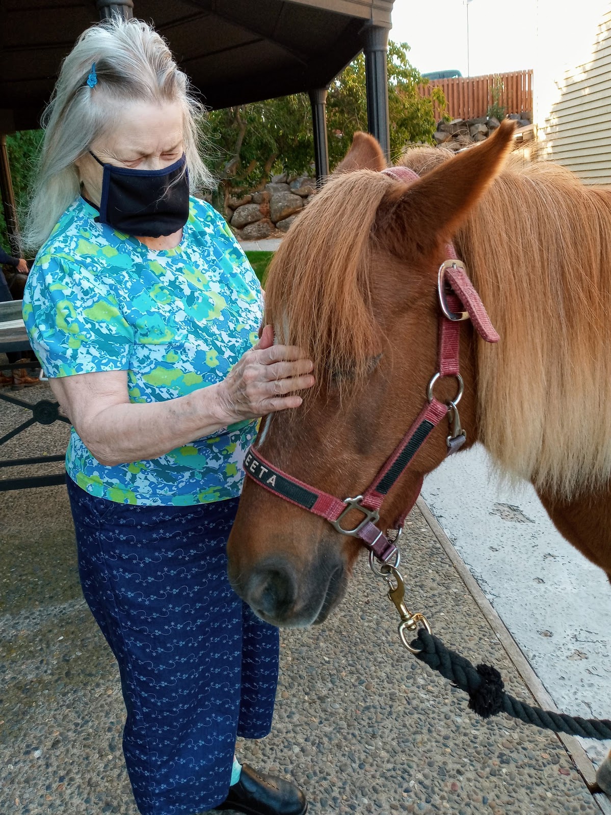 Ponderosa Assisted Living Communityuhshdh