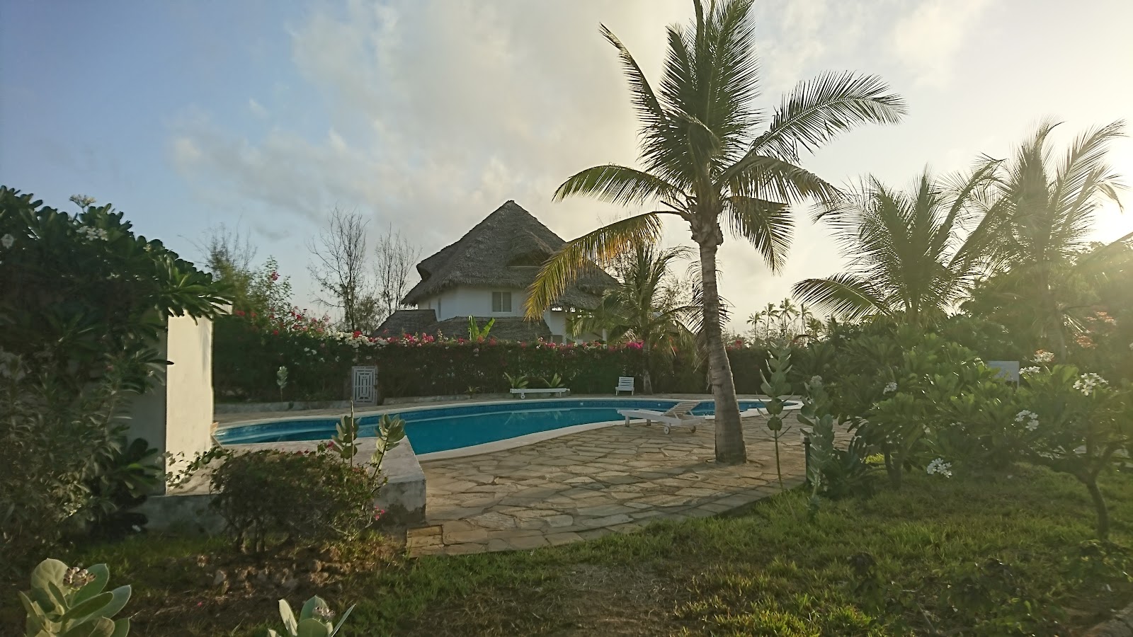 Alawi Home