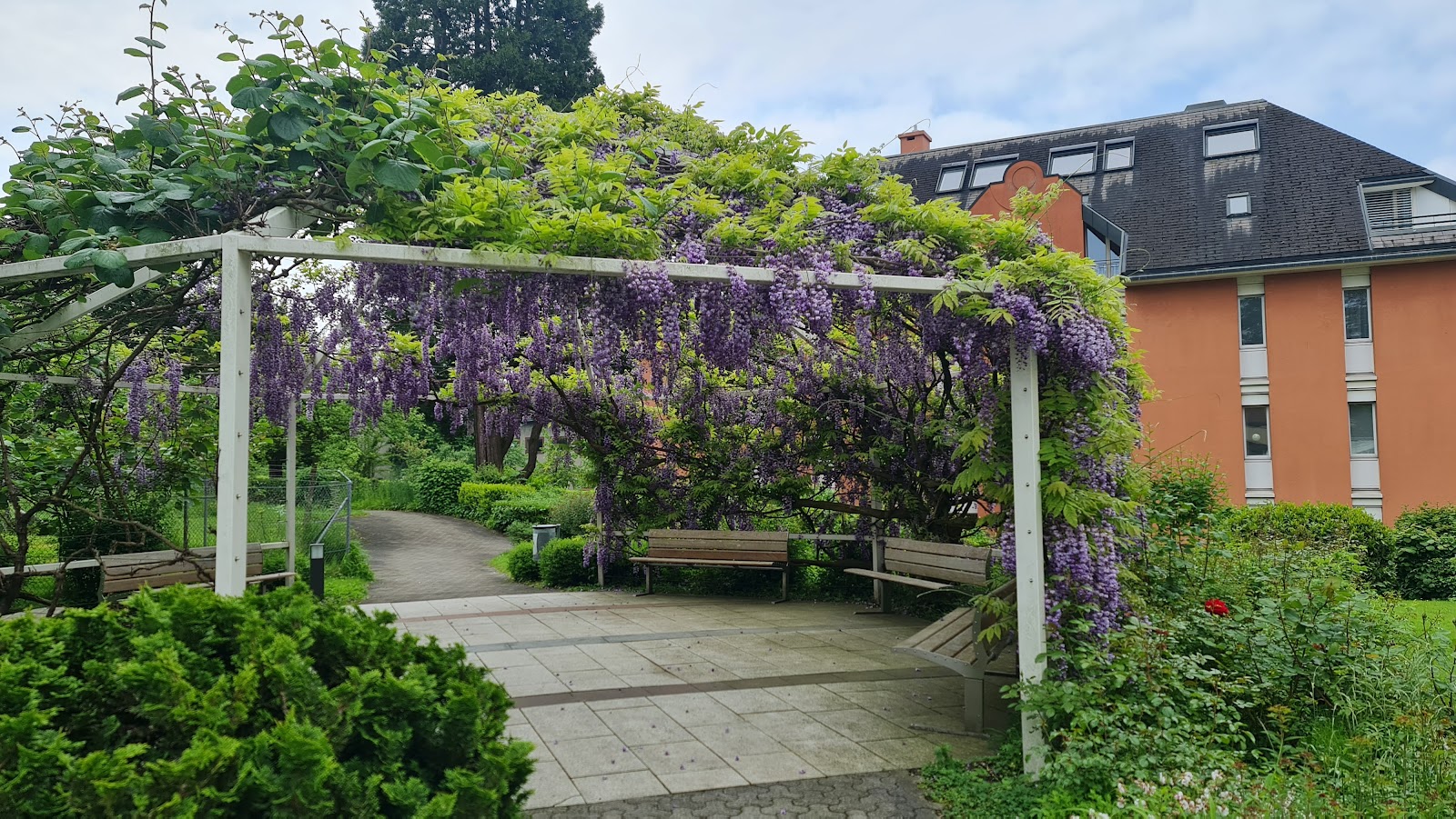 Viva Luzern Wesemlin