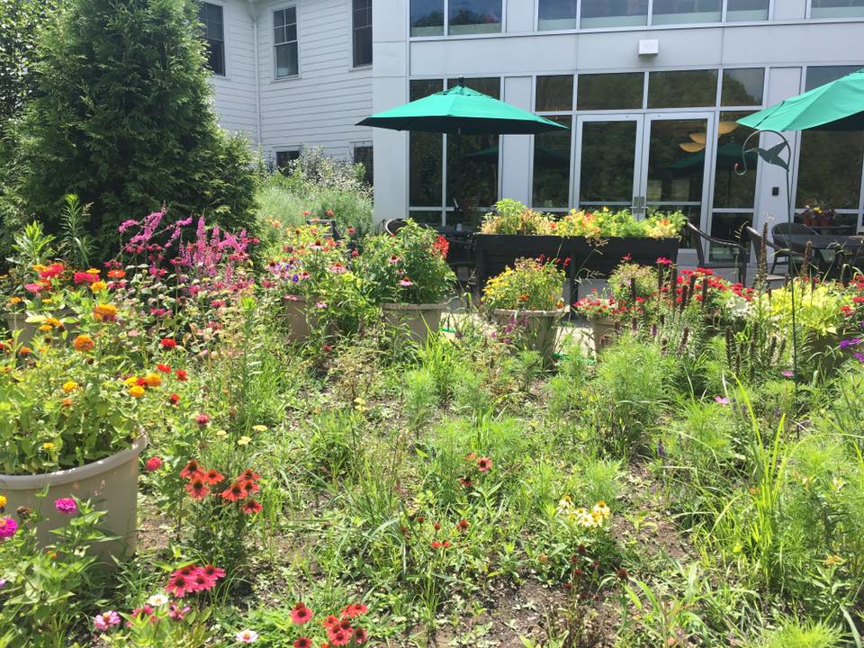 South Franklin Circle, a Judson Senior Living Community