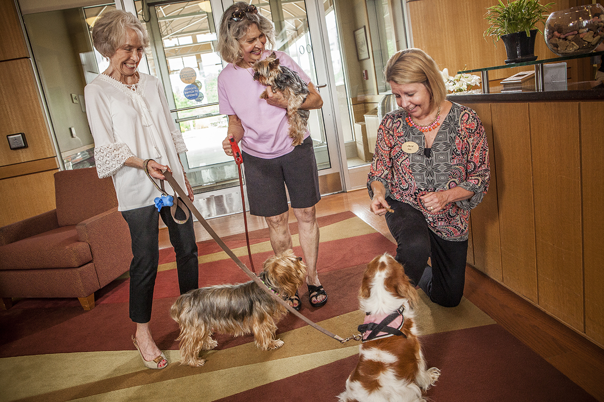 South Franklin Circle, a Judson Senior Living Community