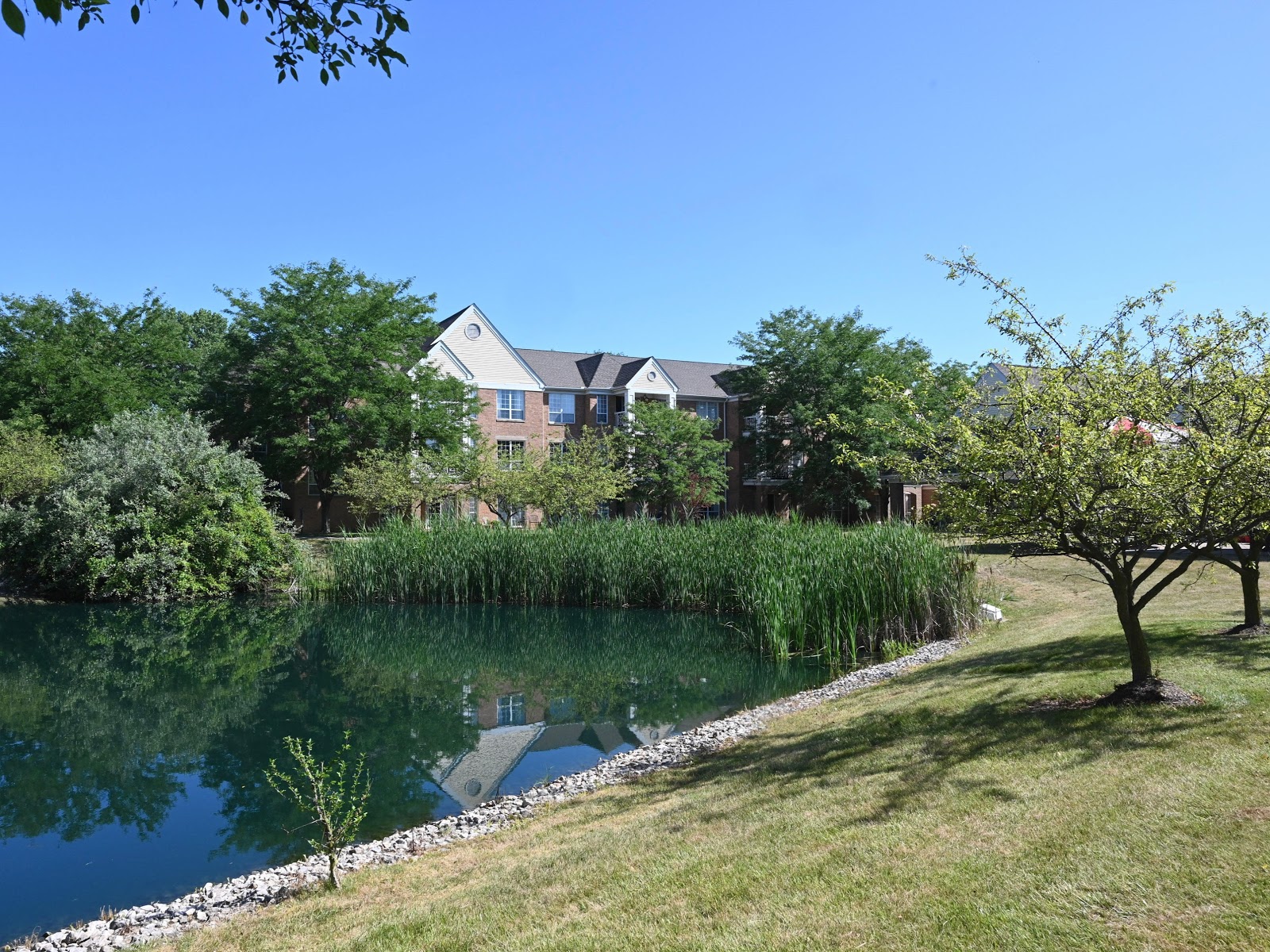 The Parkvue Community