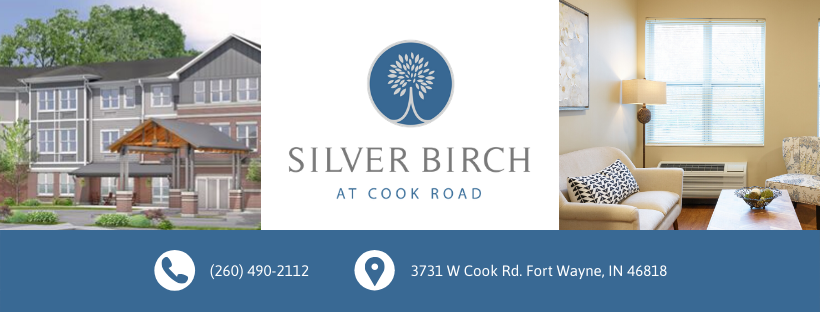 Silver Birch at Cook Road