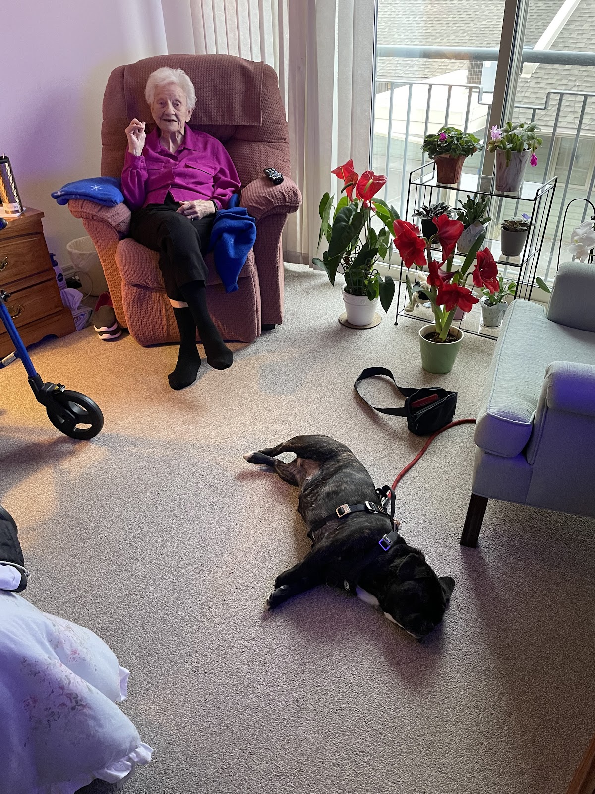Royal Gardens Retirement Residence