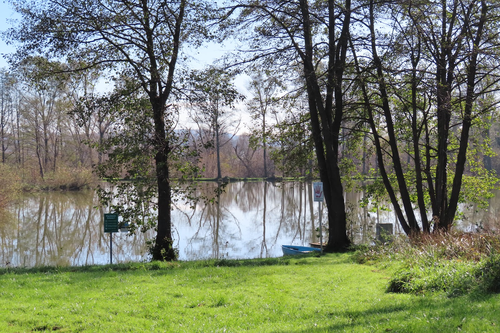 Friedenswiese Hartberg