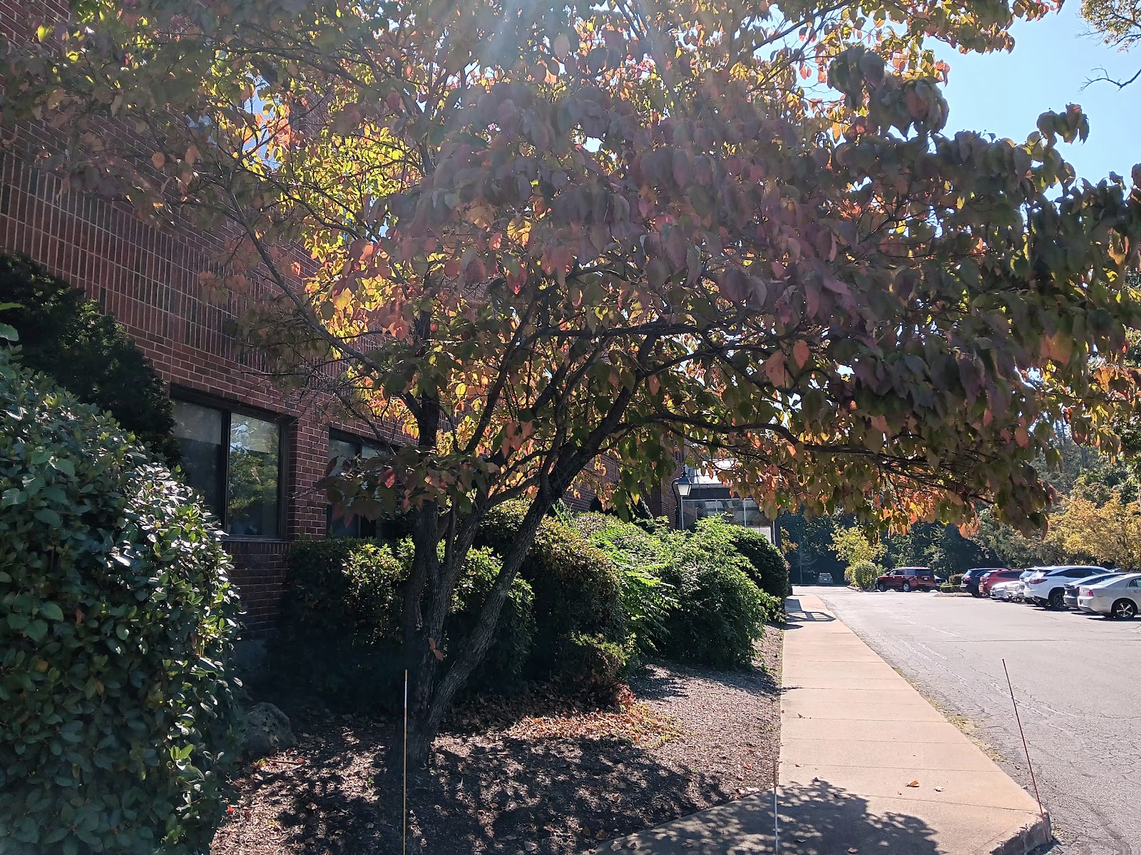 St Joseph Manor Health Care