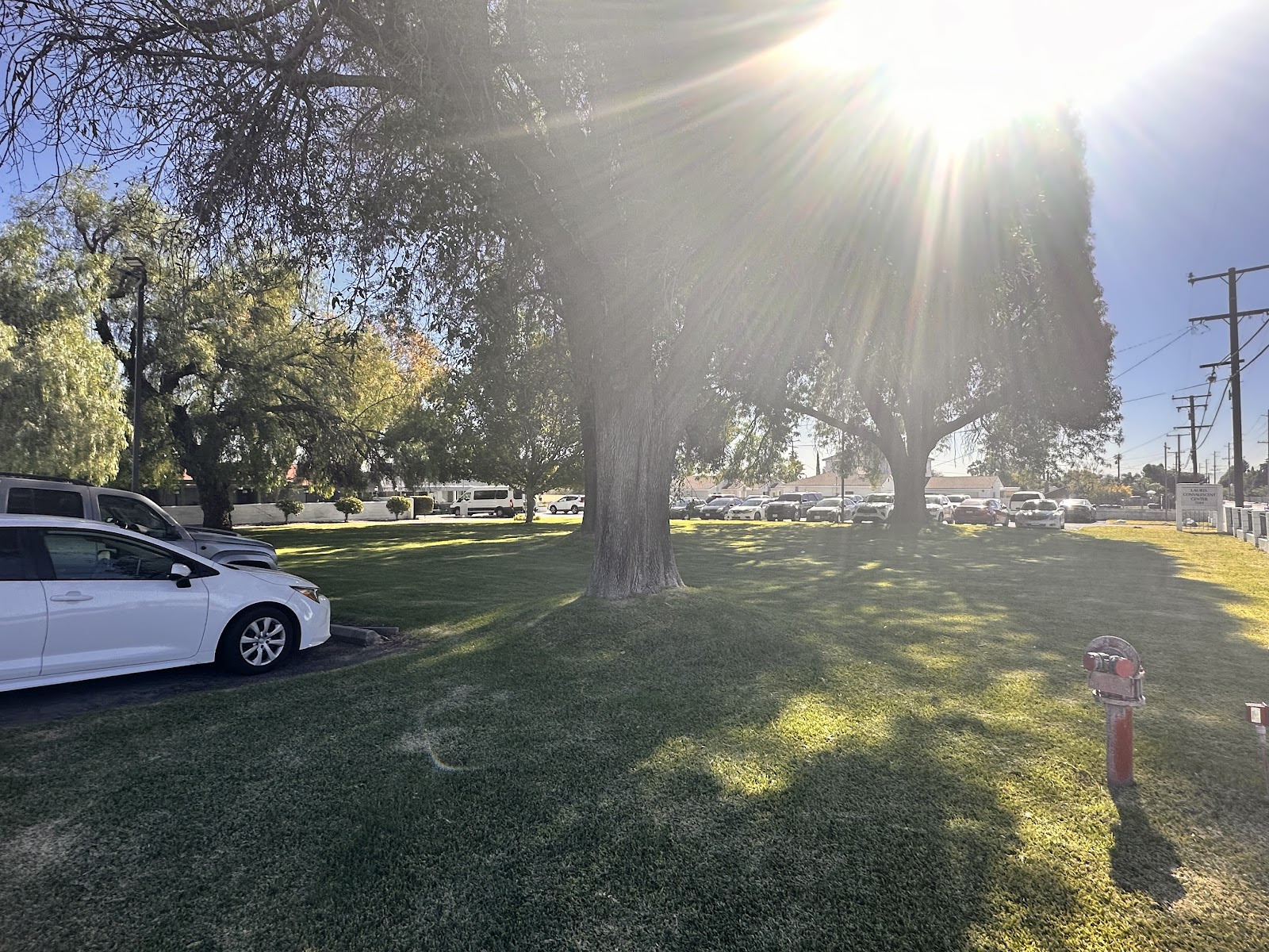 Laurel Wellness and Nursing Center