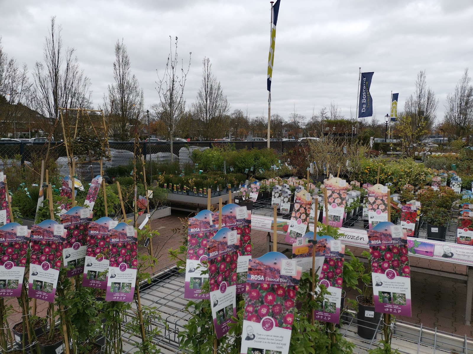 Tuincentrum De Bosrand Wassenaar