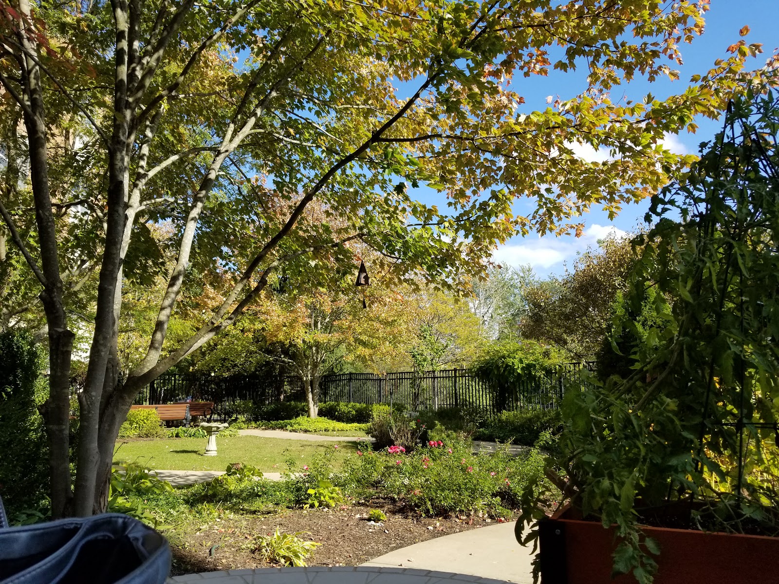 Greek American Rehabilitation & Care Centre