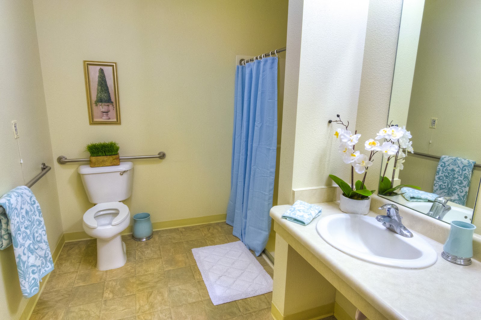 The Meadows Assisted Living