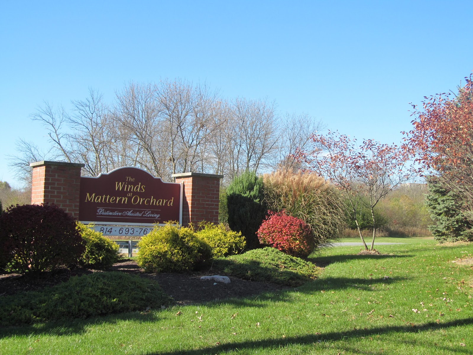 The Winds At Mattern Orchard by New Perspective