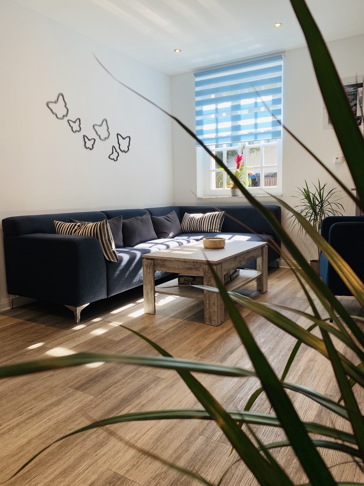 Cairful med GmbH Intensivpflege Wohngemeinschaft Soest