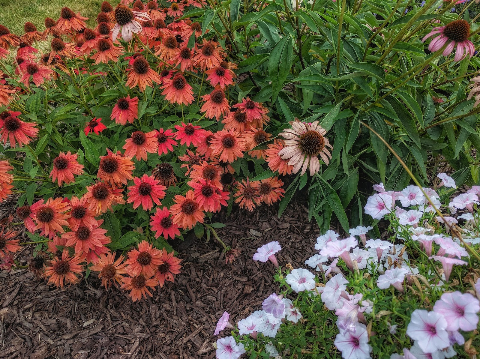 Prairie Oasis