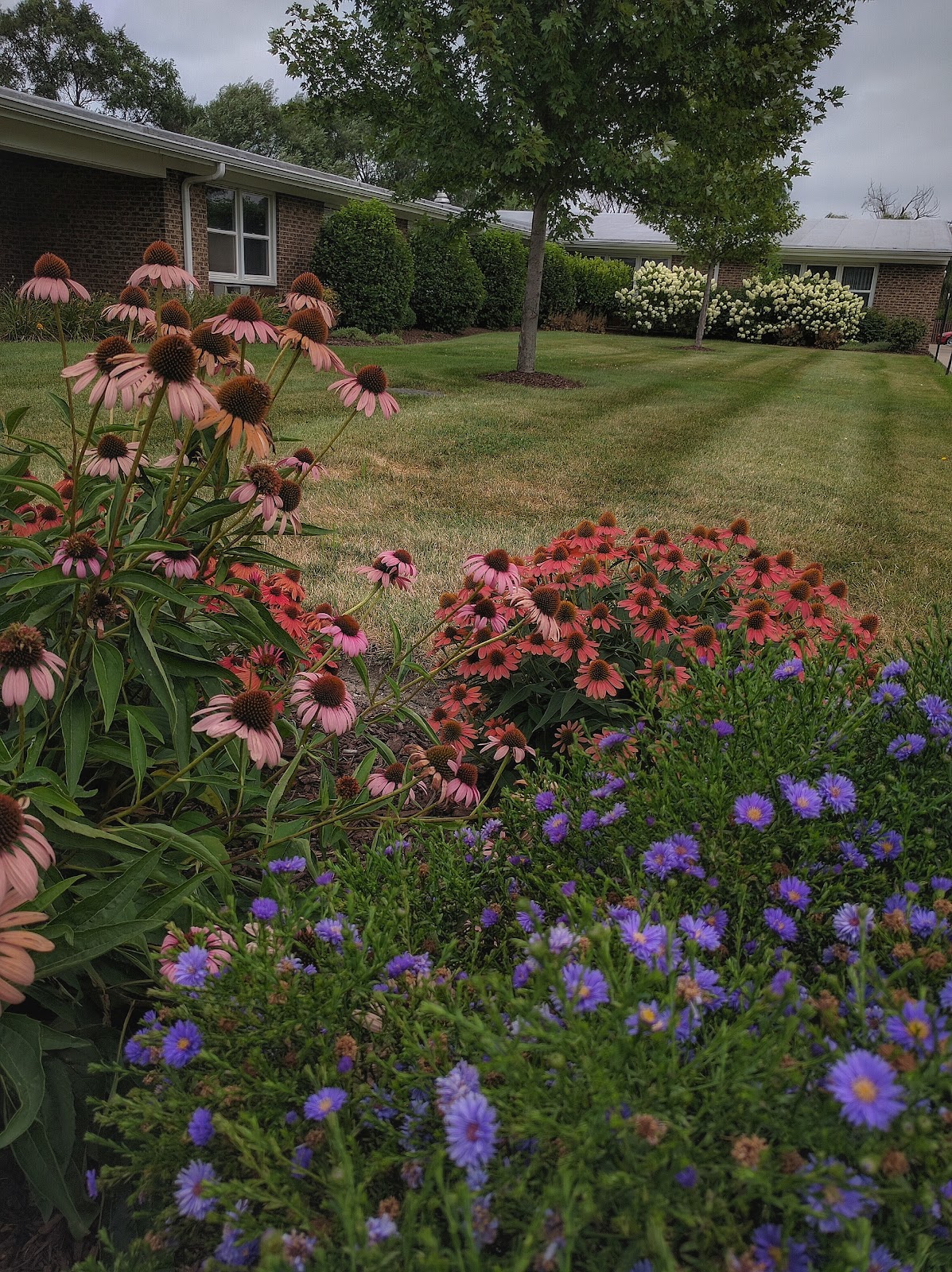 Prairie Oasis