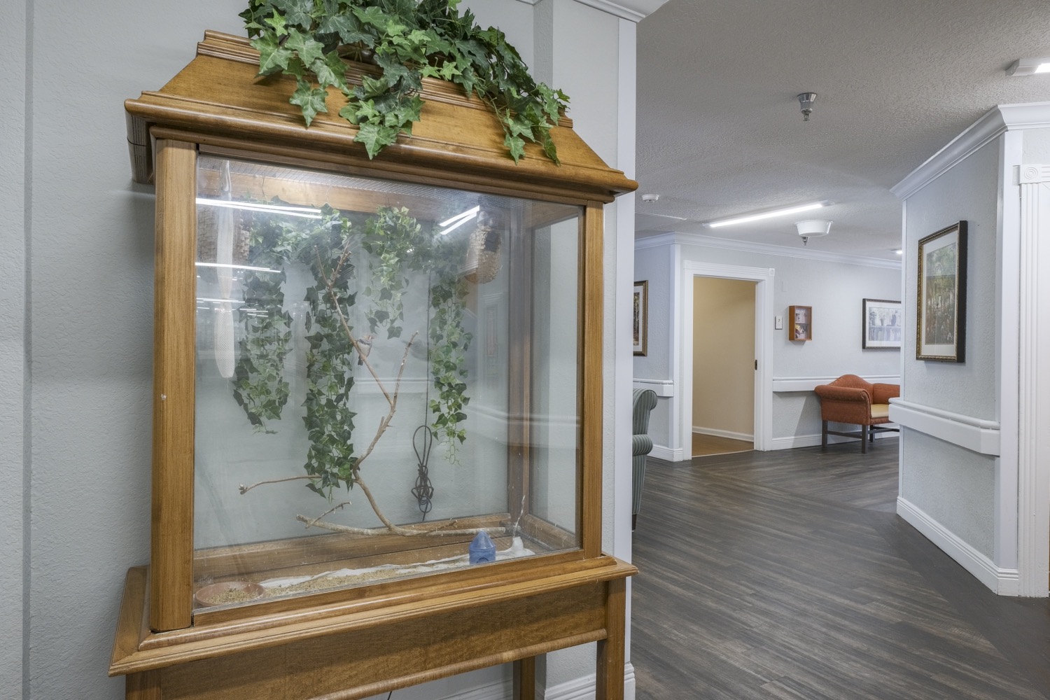 Volante Senior Living of Delray Beach