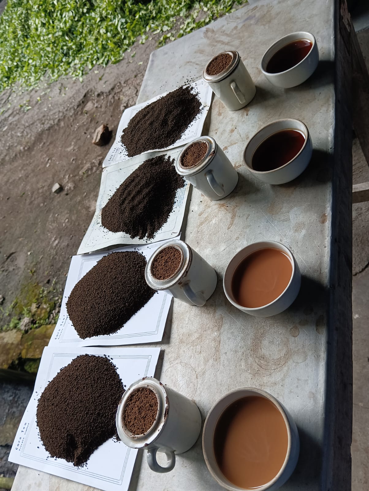 Birpara Tea Garden Factory